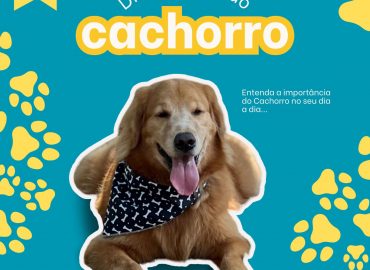 Dia mundial do Cachorro