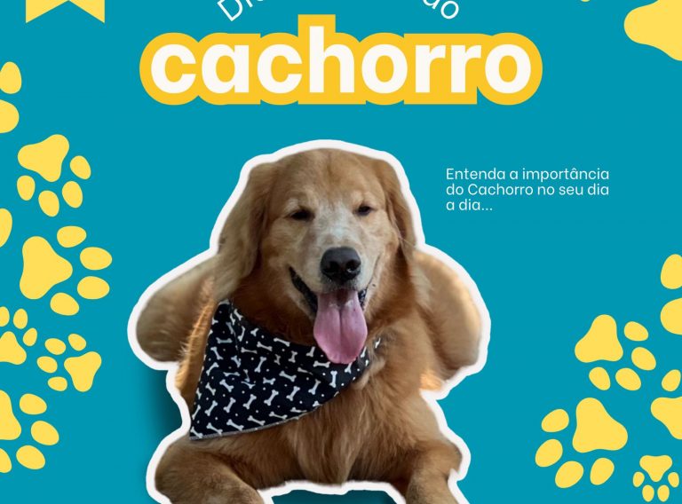 Dia mundial do Cachorro